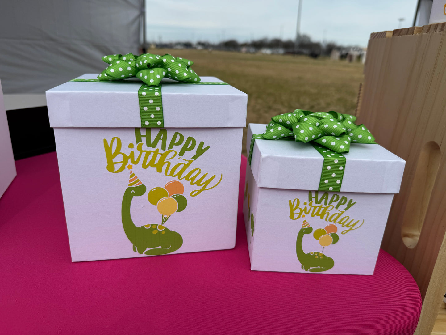 Gift Box Bundle - Dinosaur Birthday