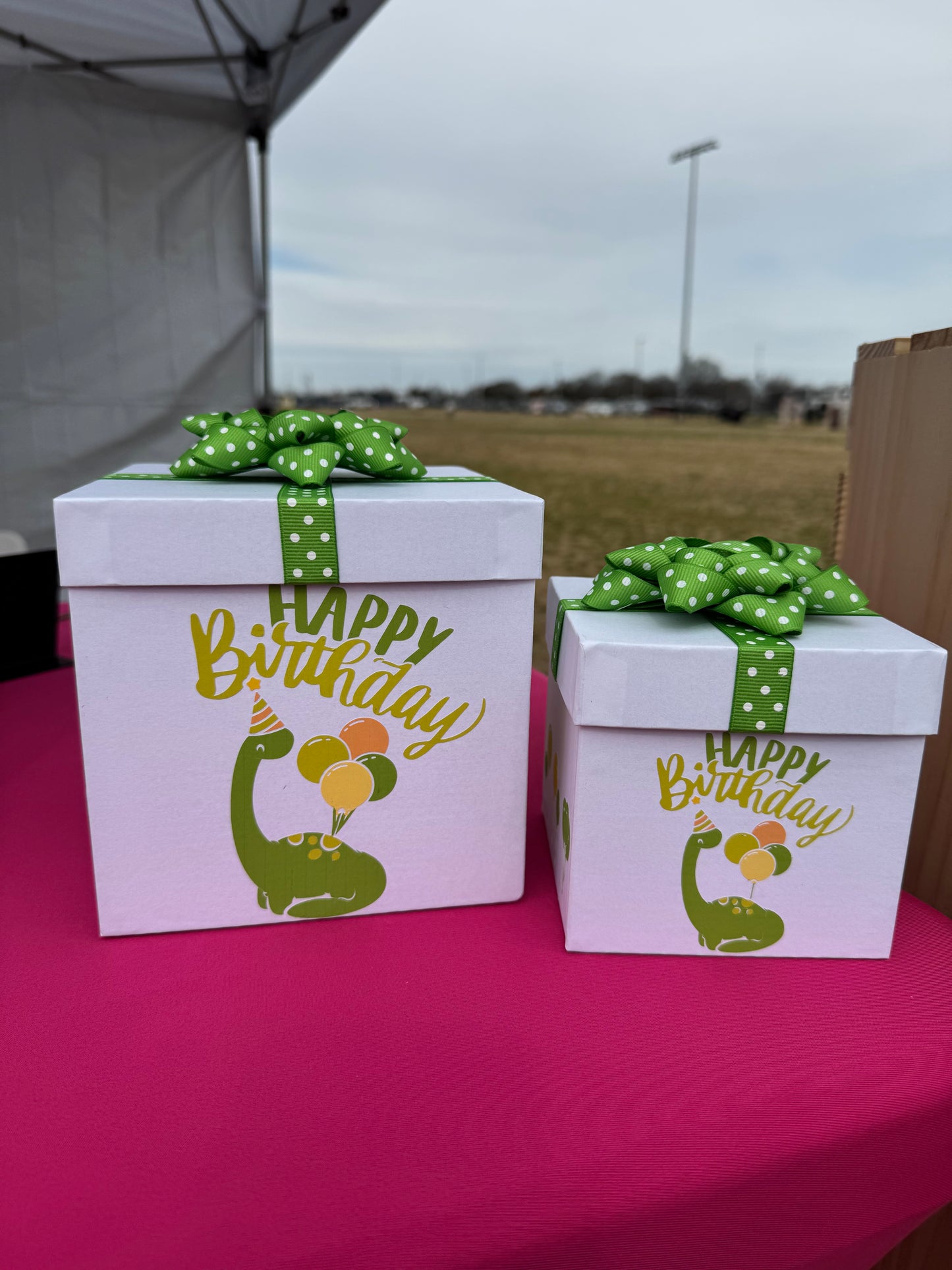 Gift Box Bundle - Dinosaur Birthday