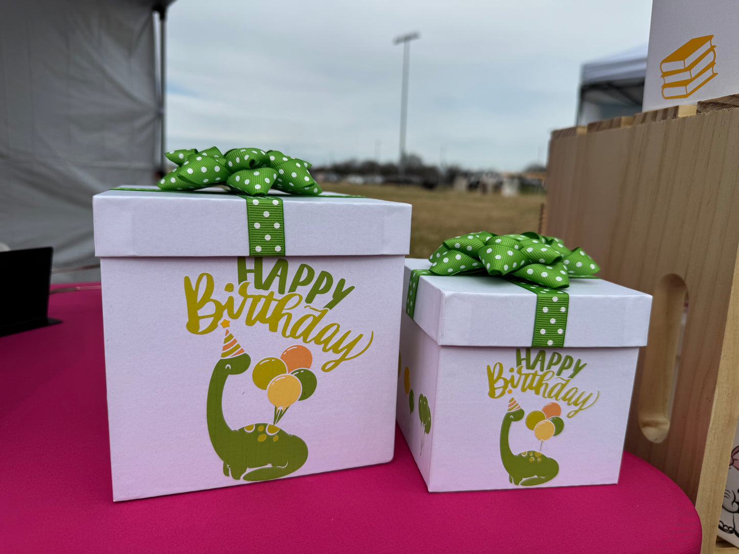 Gift Box Bundle - Dinosaur Birthday